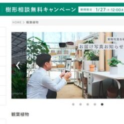 ファッション通販ECサイト