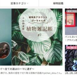 植物サイト売ります！